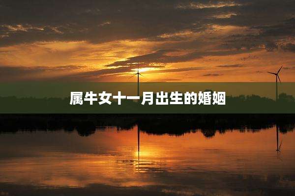 属牛女十一月出生的婚姻