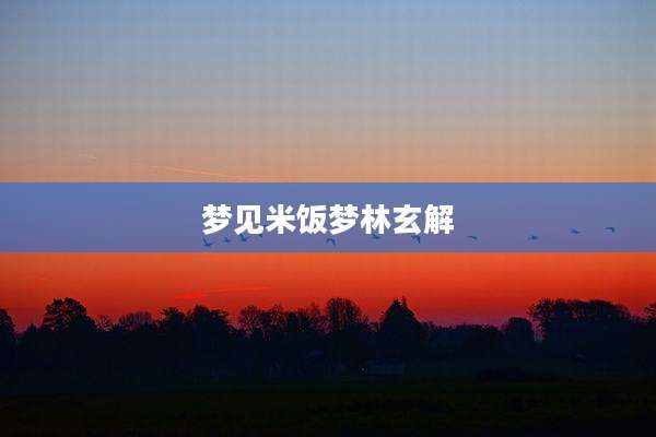 梦见米饭梦林玄解