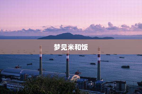 梦见米和饭