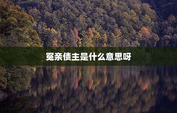 冤亲债主是什么意思呀