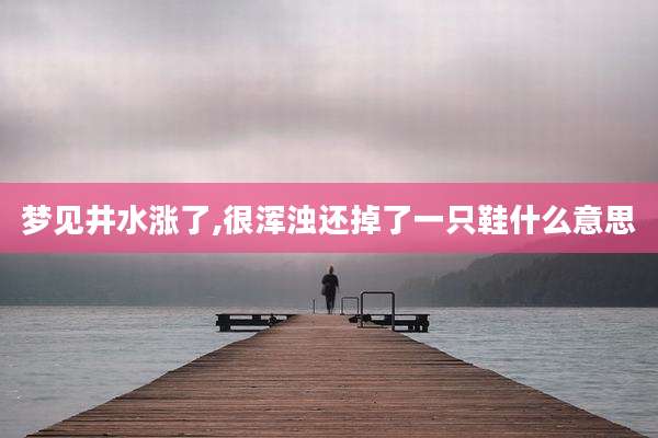 梦见井水涨了,很浑浊还掉了一只鞋什么意思