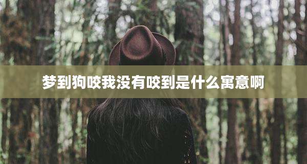 梦到狗咬我没有咬到是什么寓意啊