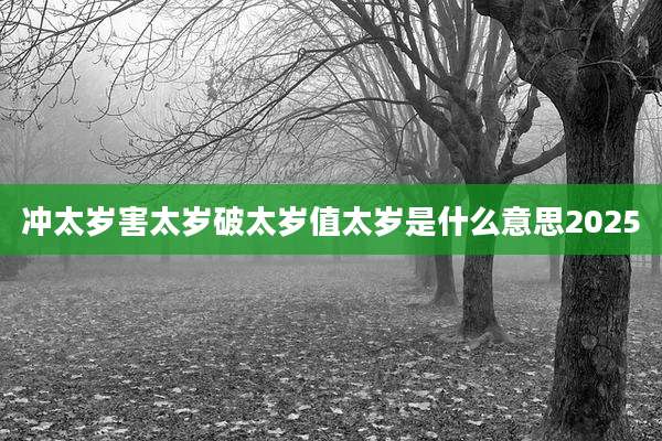 冲太岁害太岁破太岁值太岁是什么意思2025