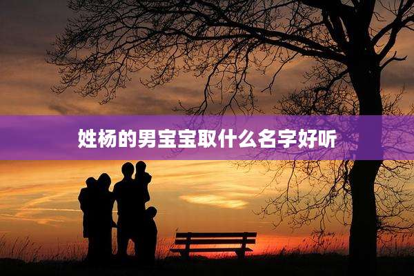 姓杨的男宝宝取什么名字好听