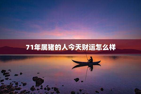 71年属猪的人今天财运怎么样
