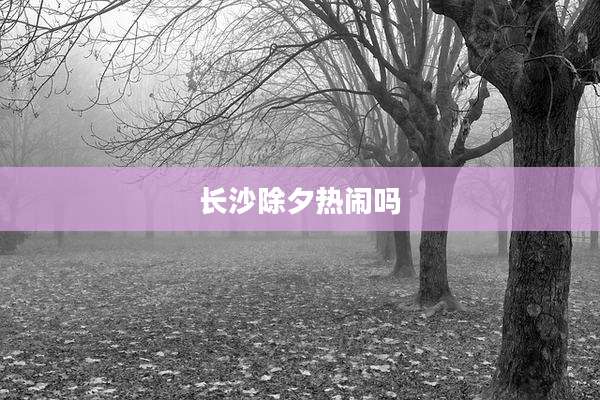 长沙除夕热闹吗