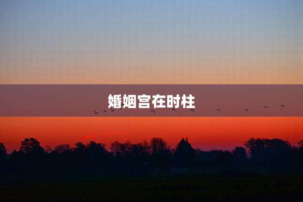 婚姻宫在时柱