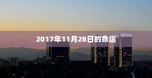 2017年11月28日的命运