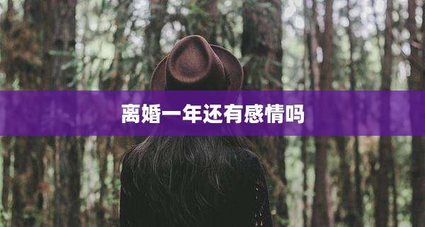 离婚一年还有感情吗