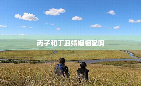 丙子和丁丑婚姻相配吗