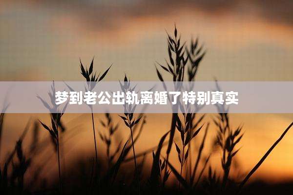 梦到老公出轨离婚了特别真实