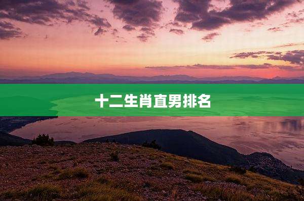 十二生肖直男排名