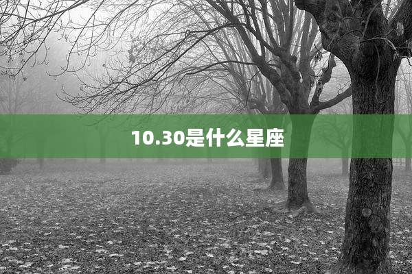 10.30是什么星座