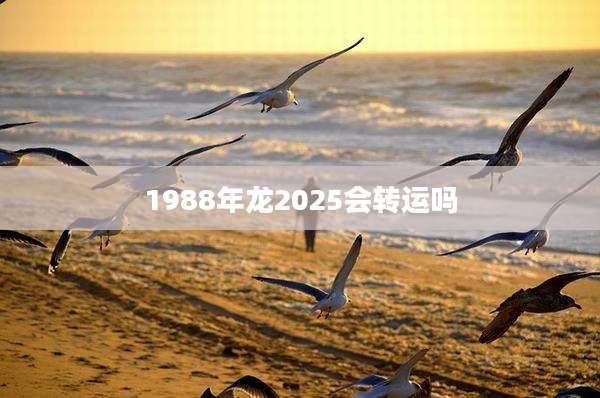 1988年龙2025会转运吗
