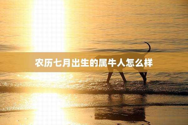 农历七月出生的属牛人怎么样