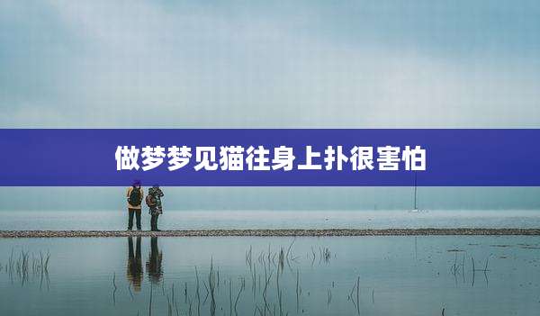 做梦梦见猫往身上扑很害怕