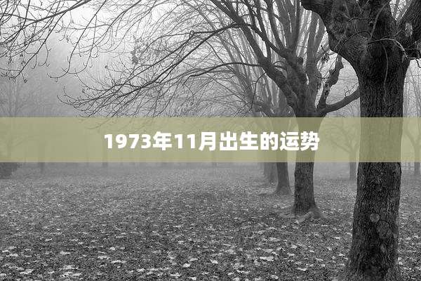 1973年11月出生的运势