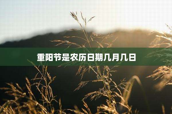 重阳节是农历日期几月几日
