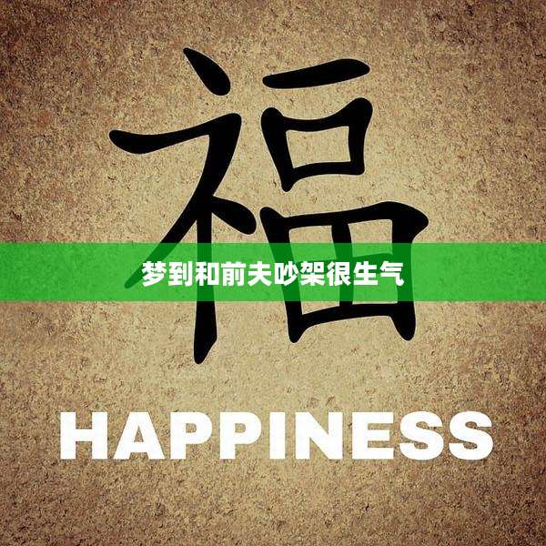 梦到和前夫吵架很生气