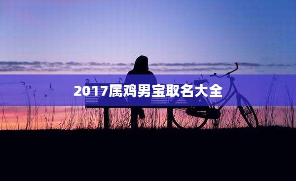 2017属鸡男宝取名大全