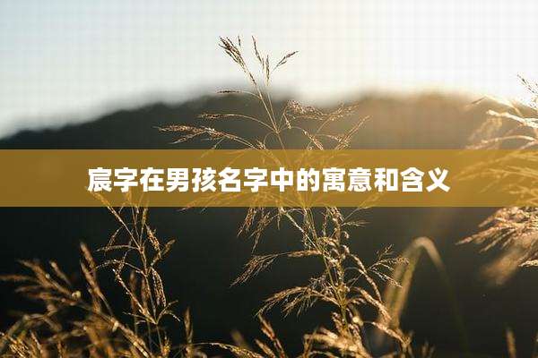 宸字在男孩名字中的寓意和含义