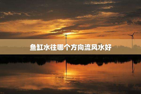 鱼缸水往哪个方向流风水好