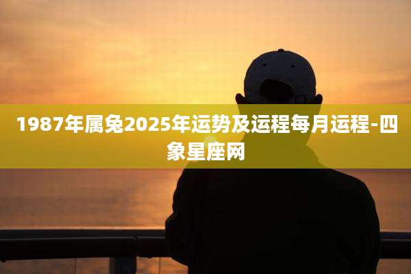 1987年属兔2025年运势及运程每月运程-四象星座网