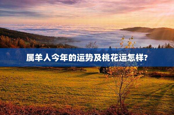 属羊人今年的运势及桃花运怎样?