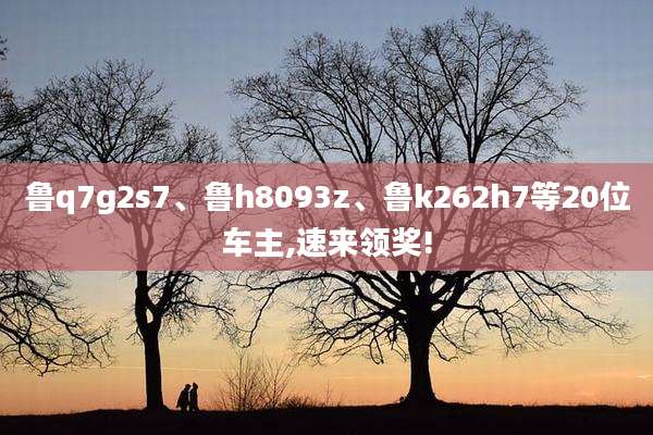 鲁q7g2s7、鲁h8093z、鲁k262h7等20位车主,速来领奖!