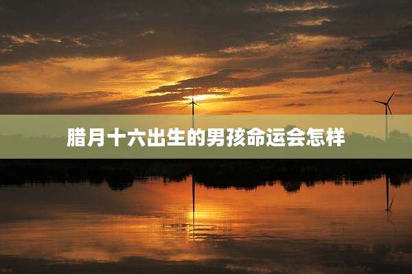 腊月十六出生的男孩命运会怎样