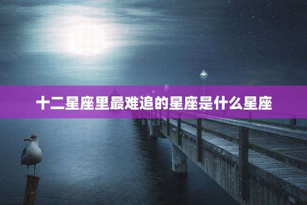 十二星座里最难追的星座是什么星座