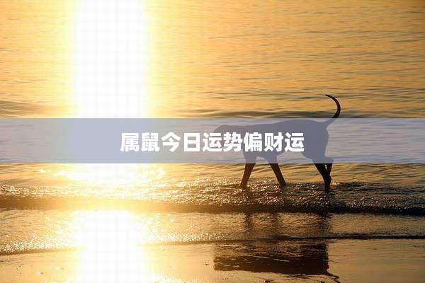 属鼠今日运势偏财运
