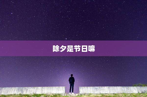 除夕是节日嘛