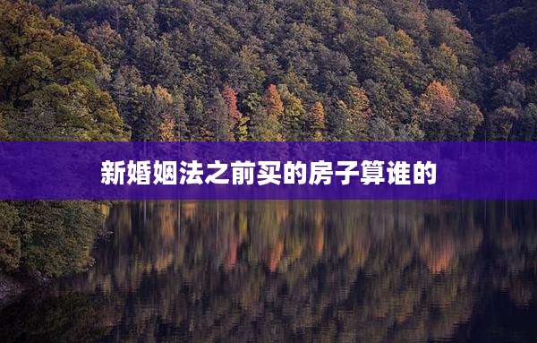 新婚姻法之前买的房子算谁的