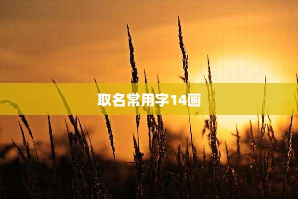 取名常用字14画
