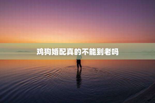 鸡狗婚配真的不能到老吗