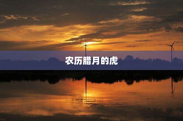 农历腊月的虎