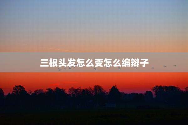 三根头发怎么变怎么编辫子