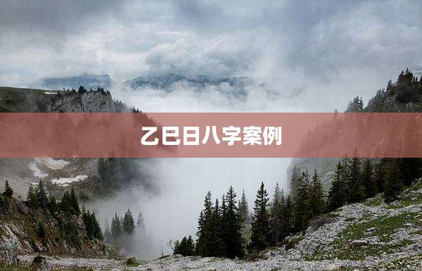 乙巳日八字案例