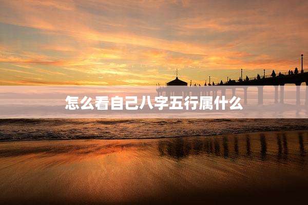 怎么看自己八字五行属什么