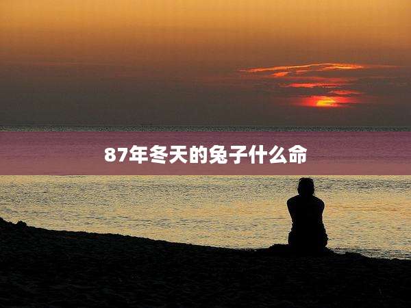 87年冬天的兔子什么命