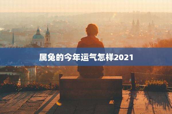 属兔的今年运气怎样2021