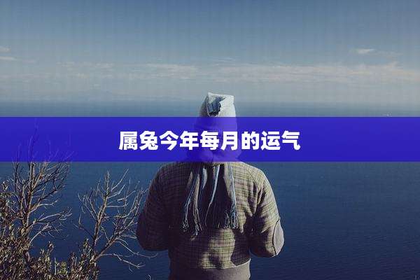 属兔今年每月的运气