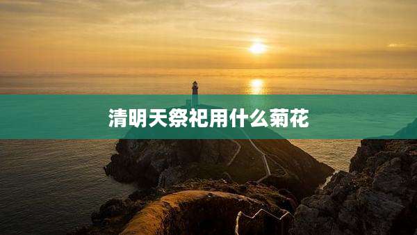 清明天祭祀用什么菊花