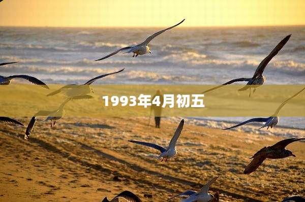 1993年4月初五