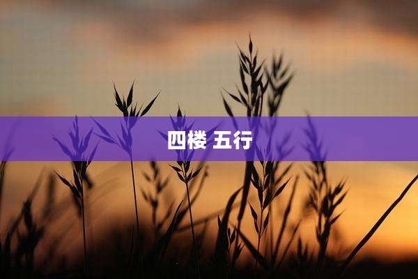 四楼 五行