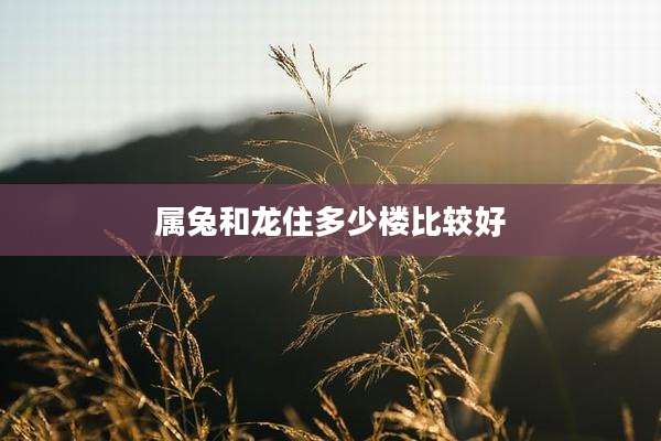 属兔和龙住多少楼比较好