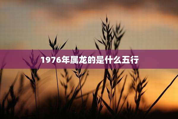 1976年属龙的是什么五行