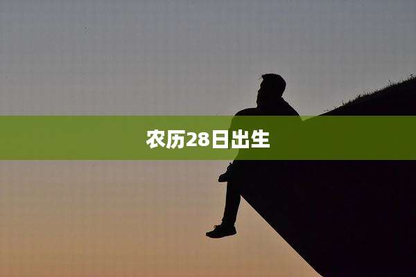 农历28日出生
