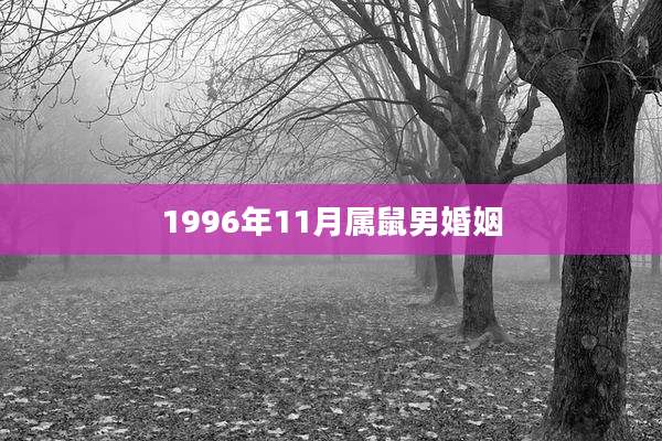 1996年11月属鼠男婚姻